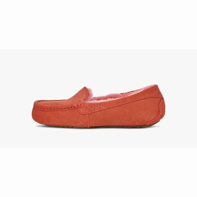 Chinelos UGG Ansley Mulher Terracota | PT-KZXAT